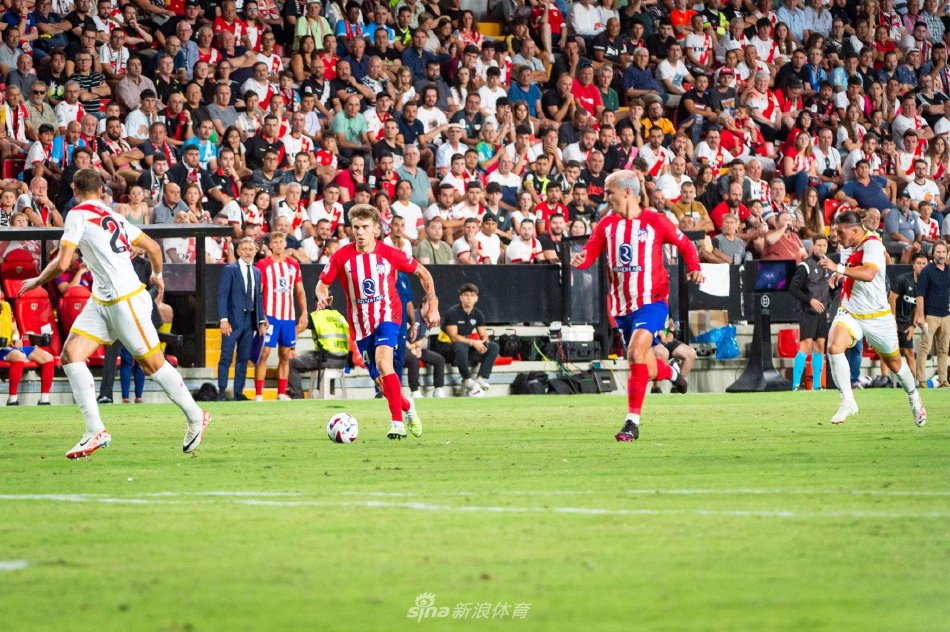 确保了选手 确保了选手